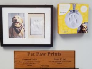 pet paw print kit & frames